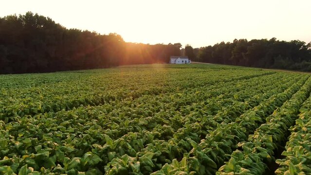 tobacco law nj NJ Supreme Court declines to take up AC smoking ban suit