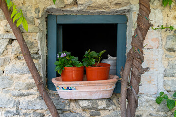 Fototapeta na wymiar Green window of old stone house with flower pots and plants