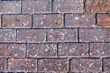 Fototapeta premium Fragment of a brick pavement. Old shabby brick.
