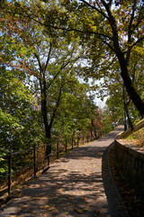 The path is fenced and covered with leaves in the city recreation park