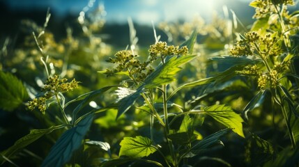 Abstract gene modification of agricultural plants. Generative AI