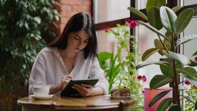 Concentrated Woman Designer Working Remotely From Cafe, Young Adult Woman Drawing Digital Pictures