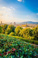 Firenze - Italia