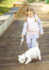 Little girl with pigtails plays with a small white dog and smiles happily. Autumn park.