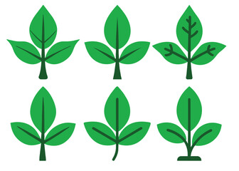 Set of green leaves icons, leaf decoration, vector isolated on white background