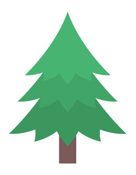 vector of a spruce tree