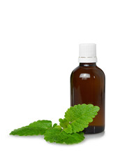 Melissa (Lemon balm) essential oil in bottle isolated on white background