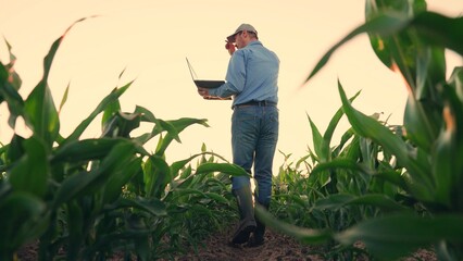 Agronomist on farm, Modern digital technologies. Farmer man in corn field works with computer, Business Farm. Agriculture concept. Farmer with laptop in green corn field. Computer worker works on farm