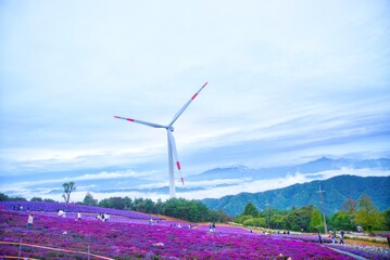 wind power station
