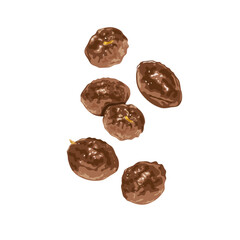 Vector illustration, close-up view of papaya seeds, isolated on white background.