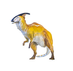 Parasaurolophus  dinosaur isolated background