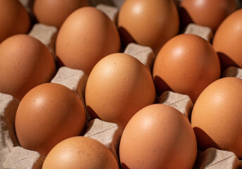 Close-up image of organic chicken eggs of the food ingredients on the restaurant table in the kitchen for cooking. Organic chicken eggs food ingredients concept.