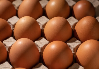 Close-up image of organic chicken eggs of the food ingredients on the restaurant table in the kitchen for cooking. Organic chicken eggs food ingredients concept.