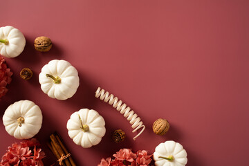 Top view white pumpkins, walnuts, pine cones, autumn flowers on pastel brown background.