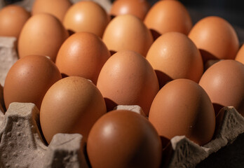 Close-up image of organic chicken eggs of the food ingredients on the restaurant table in the kitchen for cooking. Organic chicken eggs food ingredients concept.
