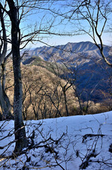 丹沢の辺室山　雪の辺室山縦走コースより相州アルプスを望む

