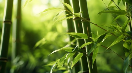 Fototapeta na wymiar A vibrant bamboo plant with lush green leaves