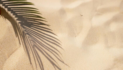 Selective focus of summer and holiday backgrounds concepts with shadow of coconut leaf on clean sand beach