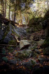 Cliff on trail