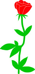 Red rose flower plant isolated on white. Minimalist hand drawn artwork.