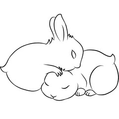 Two cute white rabbits, cartoon character, outline drawing, illustration of little rabbits