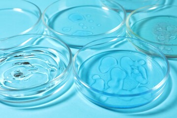 Petri dishes with liquids on light blue background, closeup