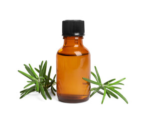 Sprigs of fresh rosemary and essential oil on white background