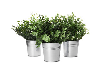 Artificial potted herbs on white background. Home decor