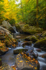 Naklejka na ściany i meble Autumn along the mountain creek