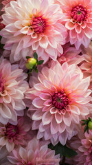 Obraz premium Garden Beauty: Pink Lily with Leaves Photography Created with generative AI tools.
