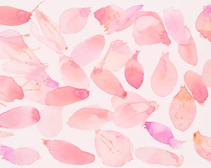 Deurstickers 満開の桜の花びら水彩フレーム  © STORY