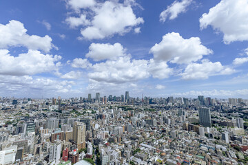 Fototapeta premium 青空と雲と東京のビル群