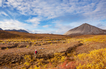 Hike in polar tundra
