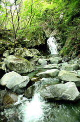 西丹沢の畦ヶ丸　西沢の小滝
