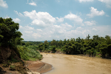 rustic riverside scene with green trees 