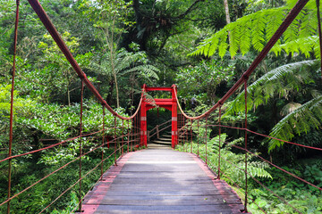 red chinese bridge in taiwan