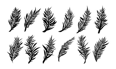 Set of hand drawn coconut palm leaf silhouette design