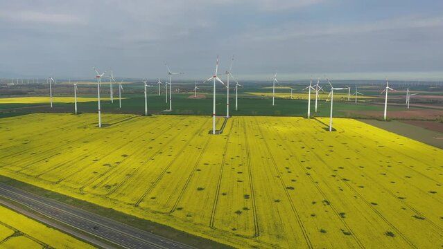 Rape field, wind farm, Egeln, Saxony-Anhalt, Germany, Europe