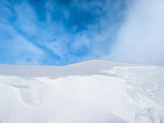 Fototapeta na wymiar Looking up at the summit covered with thick fresh snow (Niseko, Hokkaido, Japan)