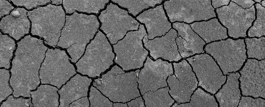 Texture soil dry crack background pattern of drought lack of water of nature gray white black old broken.