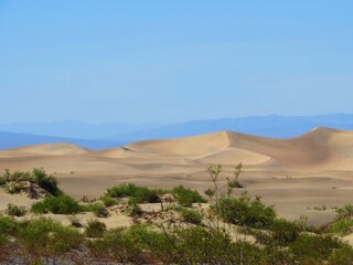Fototapeta na wymiar Mesquite Flat Sand Dunes in Death Valley National Park, California