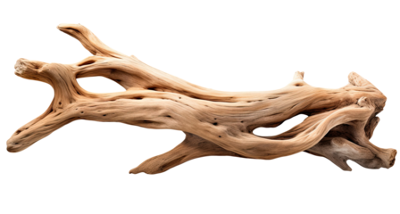 Driftwood isolated on transparent background