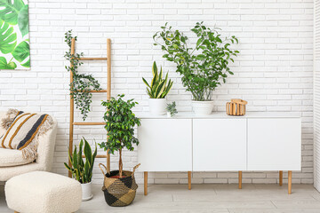 Interior of modern living room with white sideboard and different houseplants