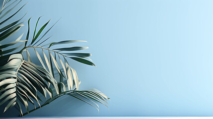 Tropical Shadow Leaves on a Light Blue Wall