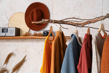 Interior of modern hallway with stylish autumn clothes hanging on tree branch