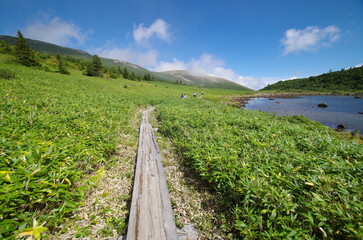 Obraz premium 福島県 鎌沼と木道
