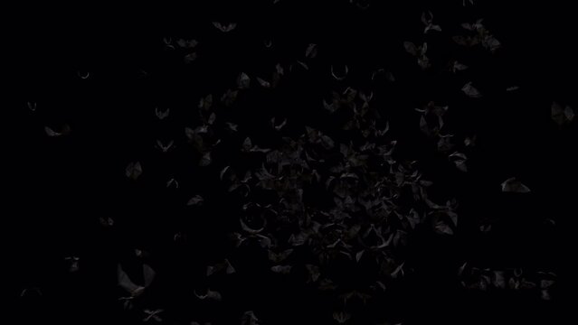 Halloween bat crowds on alpha channel place on footage or background and easier to change colour.