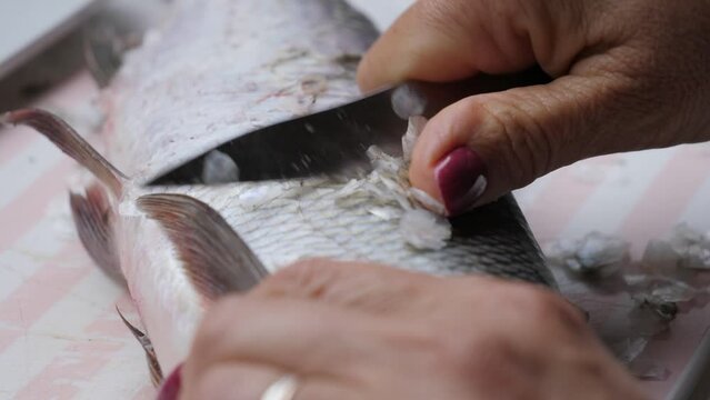 Woman peel off fish side scales.