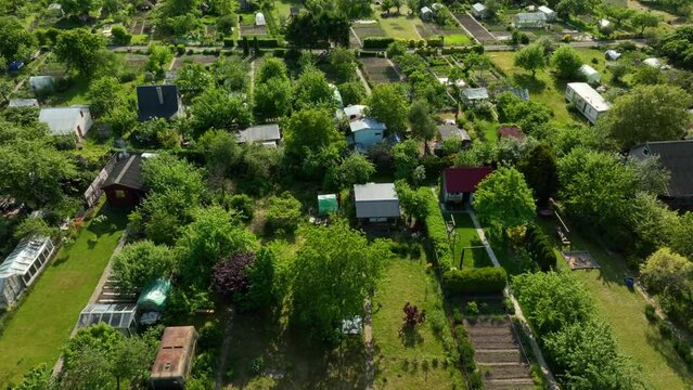Aerial view over a Schrebergarten garden colony, sunny summer day in Germany