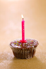 cup cake with single candle- birthday cake
